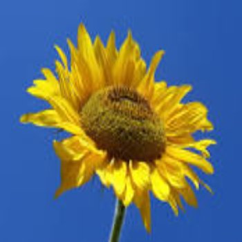 من نحن